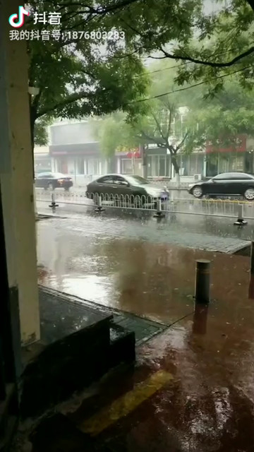 我的城市下雨了☔️☔️☔️