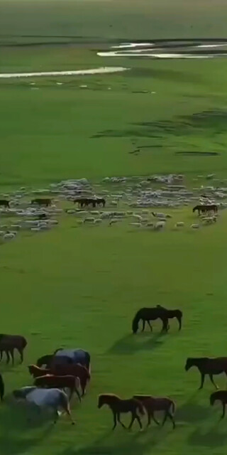 什么时候才能疫情结束万物复苏啊