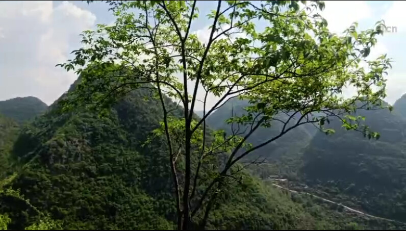大自然一一一的主播照片