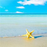 ??夢圓??東海??的頭像