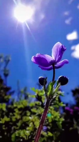 ♬默默✨小蛮宝☞🌜主播照片