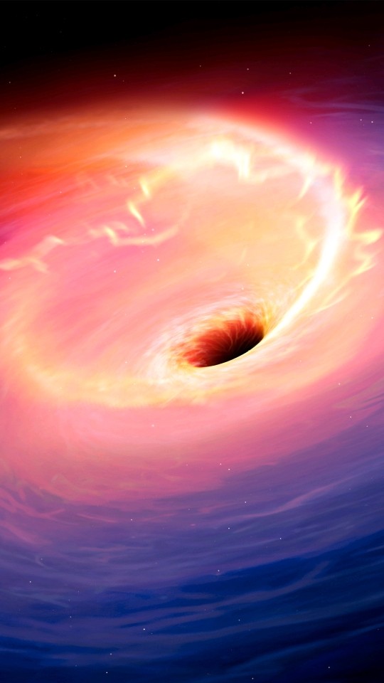 龙行星空的主播照片