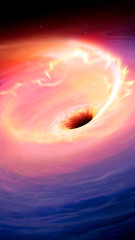 龙行星空主播照片