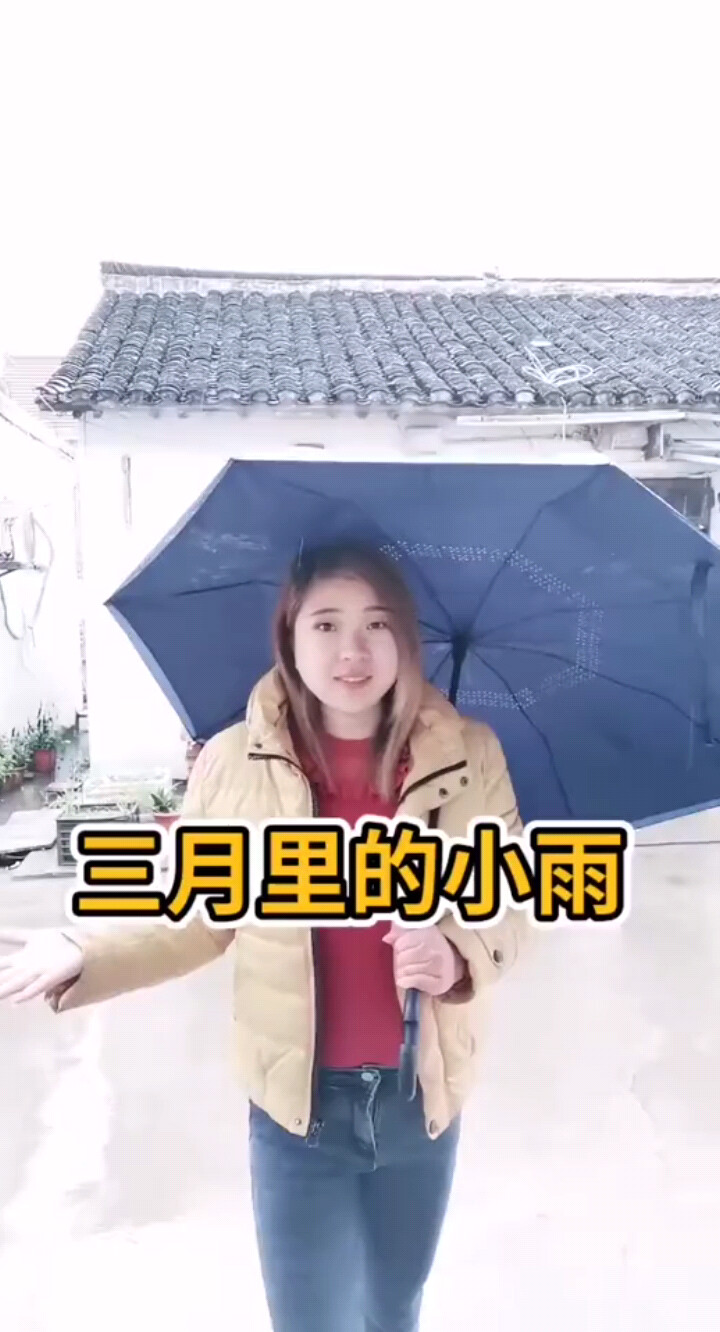 三月里的小雨