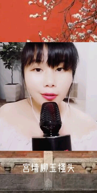 宫墙柳_翻唱