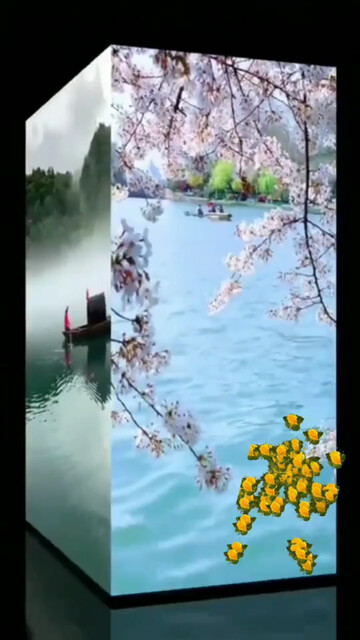 露骨髓