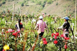 真言叔叔相约在怒江主播照片