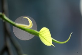 真言叔叔相约在怒江主播照片