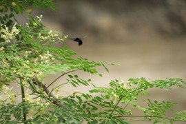 真言叔叔相约在怒江主播照片
