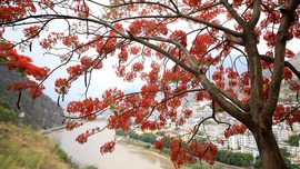 真言叔叔相约在怒江主播照片