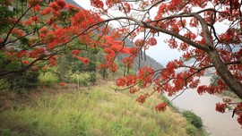 真言叔叔相约在怒江主播照片