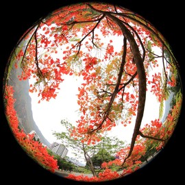 真言叔叔相约在怒江主播照片