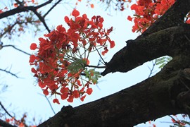 真言叔叔相约在怒江主播照片