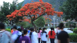 真言叔叔相约在怒江主播照片
