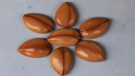 真言叔叔相约在怒江主播照片