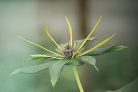 真言叔叔相约在怒江主播照片