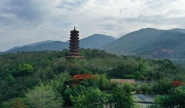 真言叔叔相约在怒江主播照片