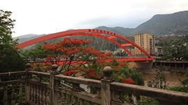 真言叔叔相约在怒江主播照片