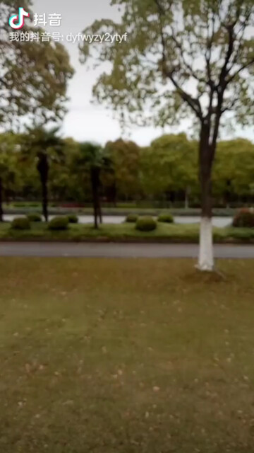 上海市奉贤区