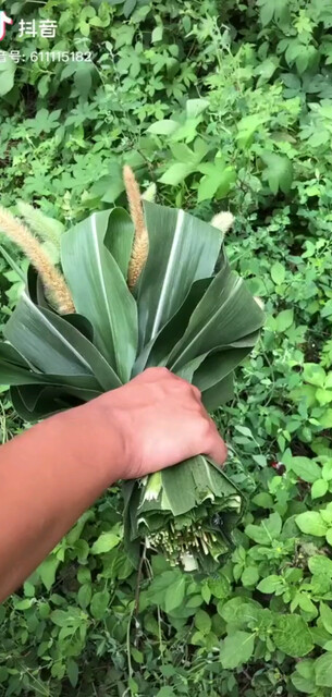 她
