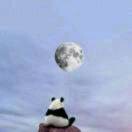 启铭天地