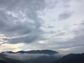 茶茶幸运星主播照片