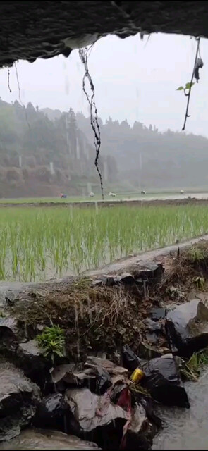 雨过之后总会天晴