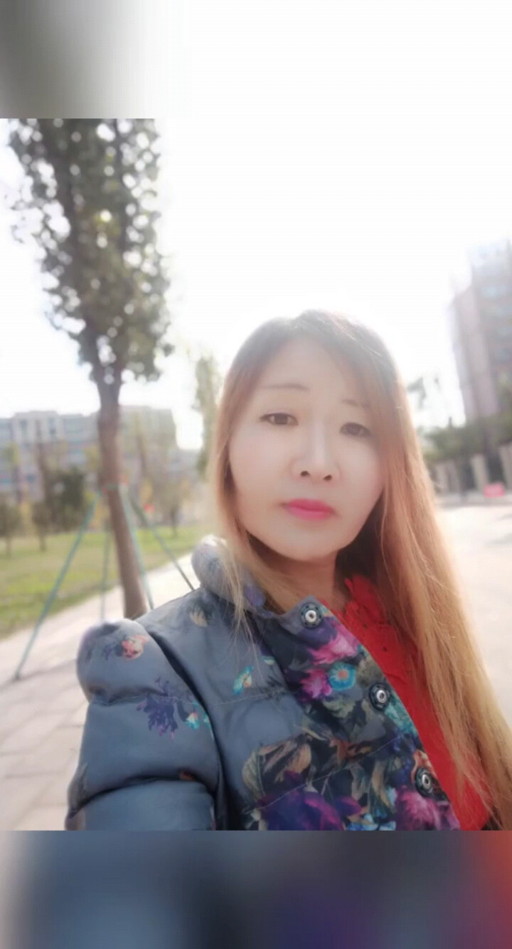 惜别的海岸
