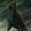西伯利亚狼nwd的头像