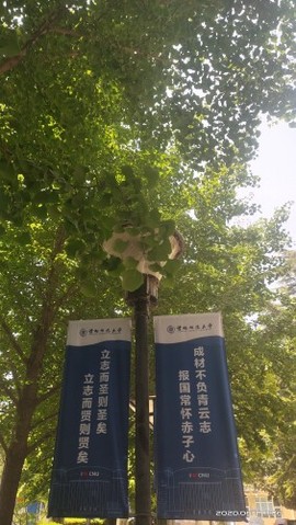京城少爷🇨🇳敬礼主播照片
