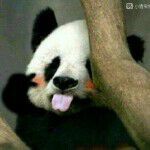 胜者传奇主播照片