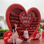 白茶清欢渡海报