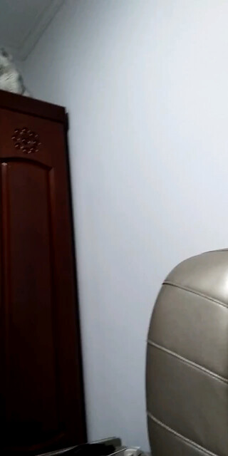 贼淘气