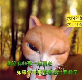 萌萌哒猎手主播照片