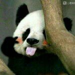1316❤万年青的主播照片