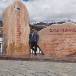 乄凑热闹的乄海报