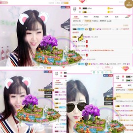 一只雁~主播照片