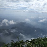 止于至善。海报