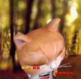 萌萌哒猎手主播照片