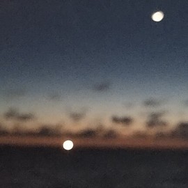 不吃茄子主播照片