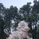 顺其自然of68