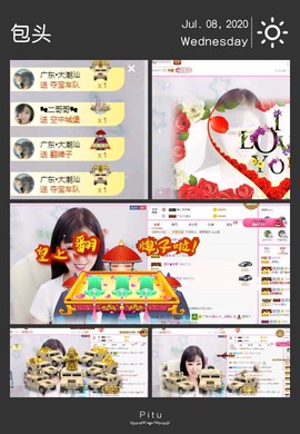一只雁~主播照片