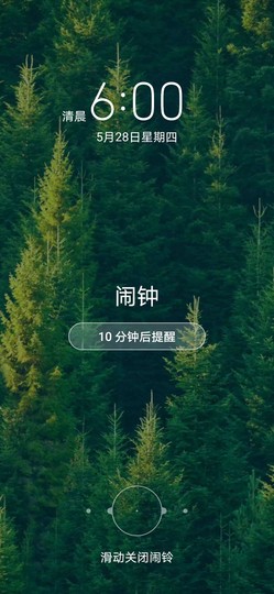 梦可儿🌿暂退主播照片