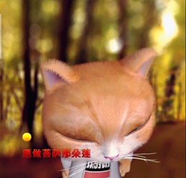 萌萌哒猎手主播照片