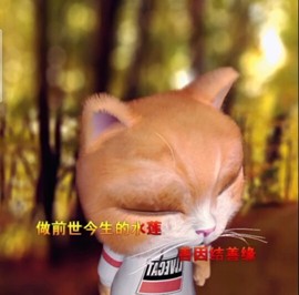 萌萌哒猎手主播照片
