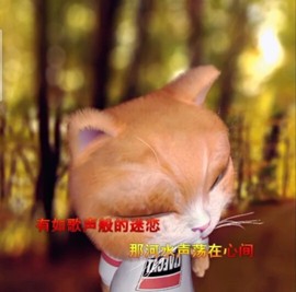 萌萌哒猎手主播照片