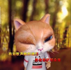 萌萌哒猎手主播照片