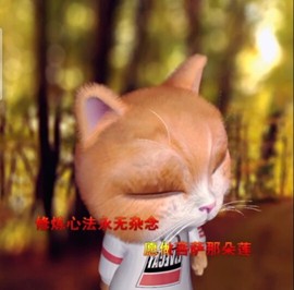 萌萌哒猎手主播照片