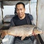 洪欣1主播照片