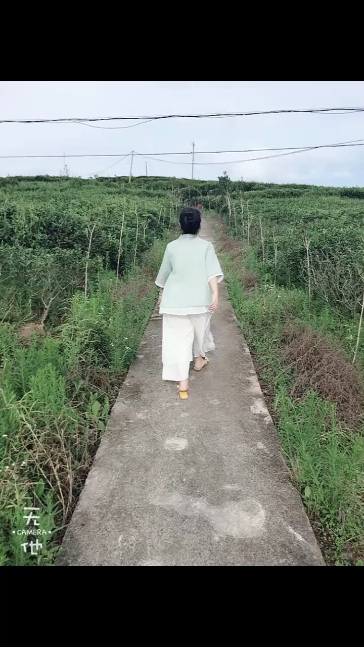 奔跑在茶园里时才感觉找到自己